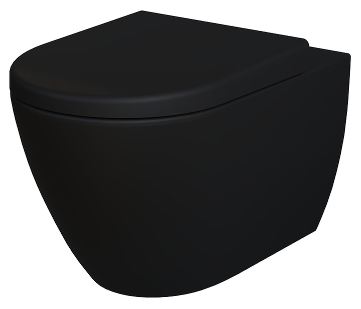 Унитаз подвесной с крышкой-сиденьем Ambassador Queen 113T20201R-112T20201 черный матовый