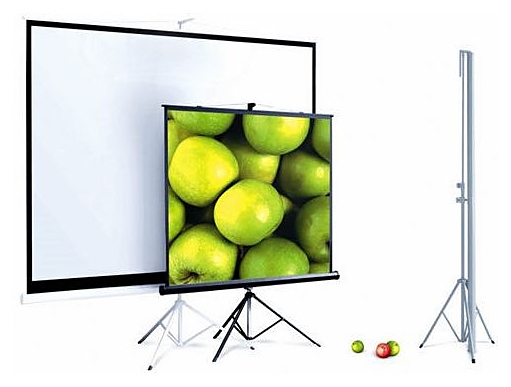 Переносной экран на штативе ScreenMedia SM-TR244х244-MW