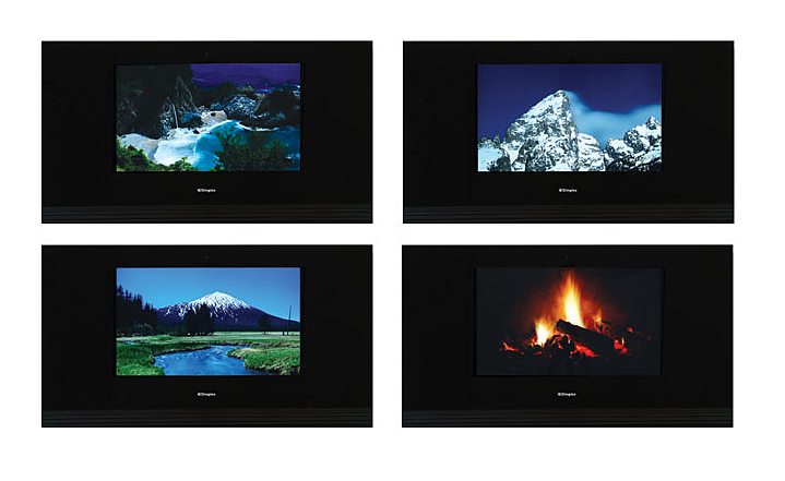 Электрический камин Dimplex Living Art (4 сезона)