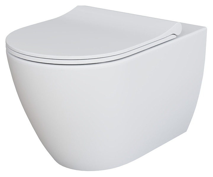 Унитаз подвесной с крышкой-сиденьем Ambassador Queen 113T20101R-112T20101S белый матовый