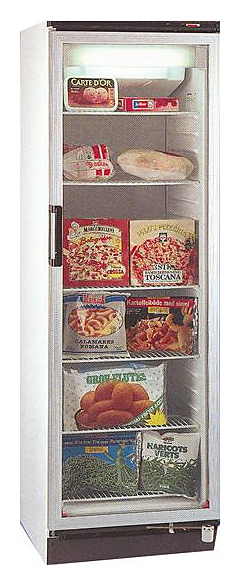 Морозильный шкаф Vestfrost NFG 309