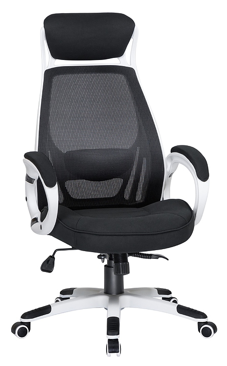 Кресло офисное для руководителей DOBRIN 109BL White LMR STEVEN WHITE