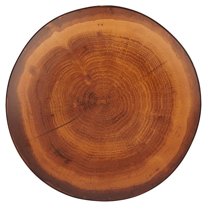 Тарелка P.L. Proff Cuisine WM 246123 Wood Fusion d=23 см h=2,7 см (фарфор)