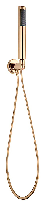 Лейка душевая WEBERT AC1046010