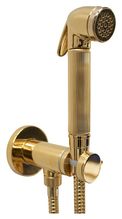 Гигиенический душ со смесителем Bossini Nikita Mixer E37008B.021