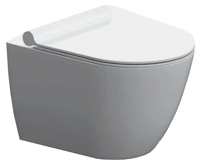 Унитаз подвесной Damixa Apollo DX22C1700SC с сиденьем микролифт