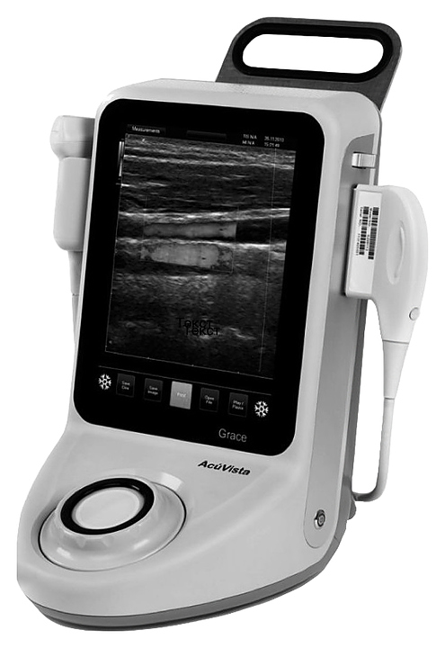 Аппарат УЗИ ветеринарный AcuVista Grace