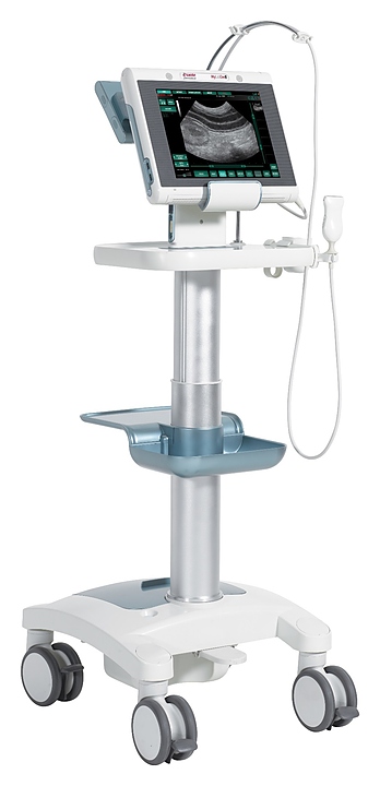 Аппарат УЗИ Esaote MyLab One