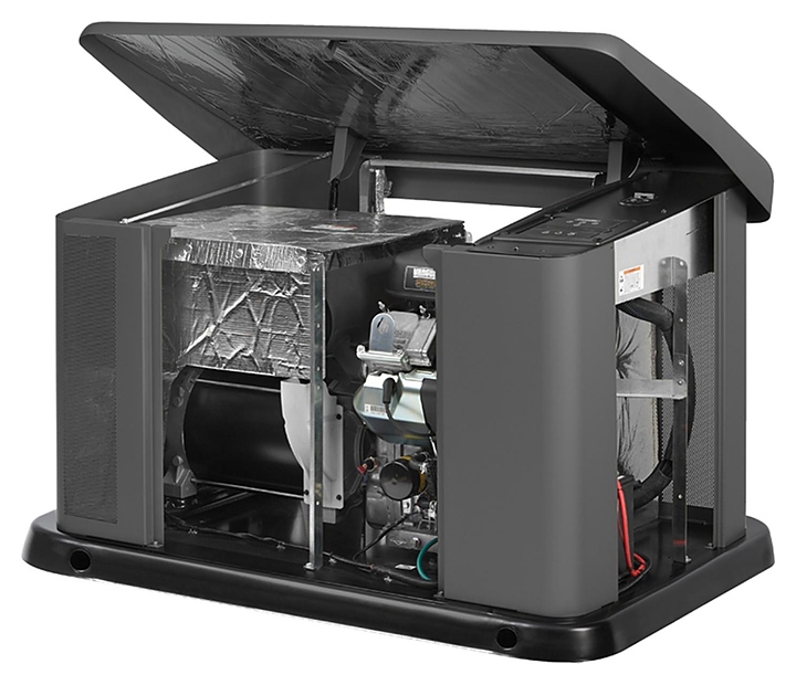 Генератор газовый Briggs & Stratton G110