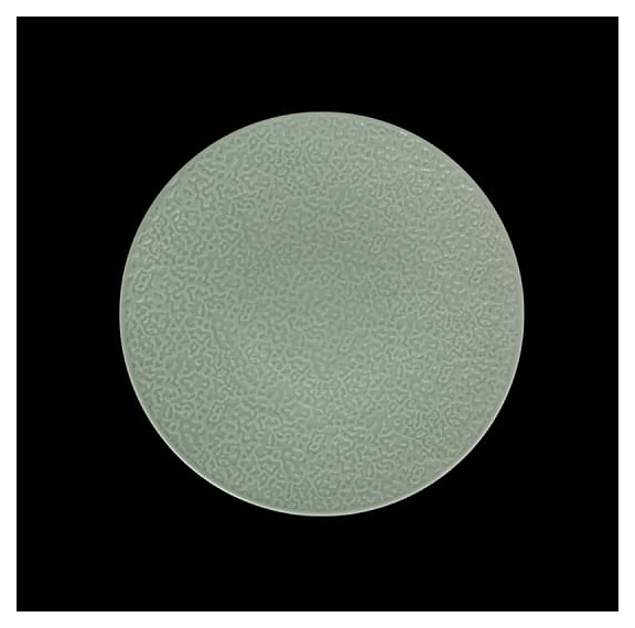 Тарелка мелкая Corone Nori LQ-QK15286-GRE 276 мм