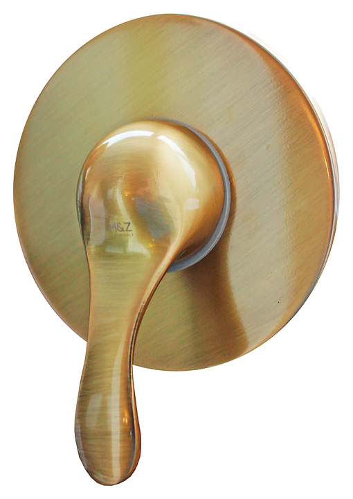 Смеситель для душа встраиваемый M&Z Delizia DLZ02712