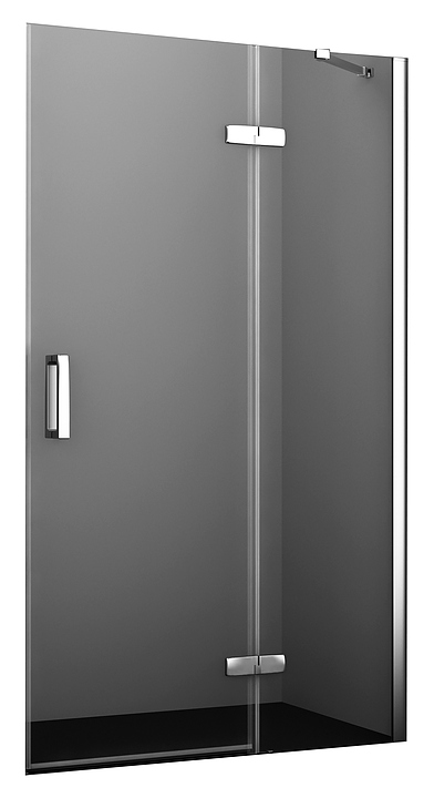 Дверь душевая Wasserkraft Aller 10H05R 120х200 см, в нишу, распашная, правая, серебристый профиль