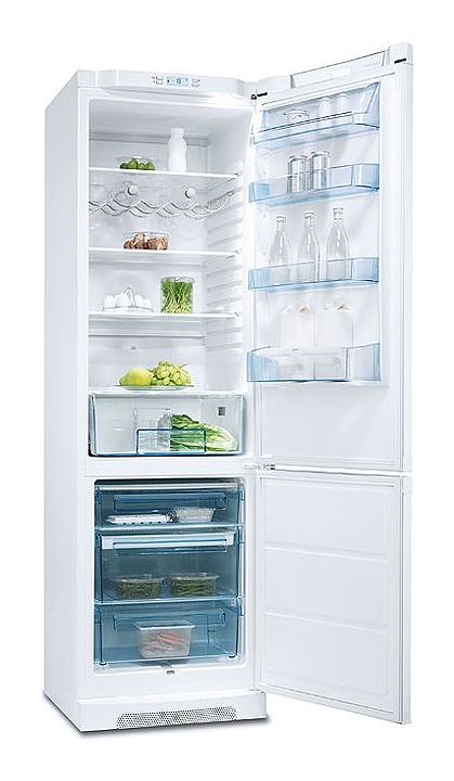 Холодильник Electrolux Professional ERB 39300 W